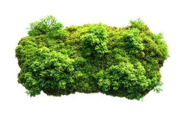 Fototapeta premium Lush green mossy landscape nature scene vibrant environment isolated on transparent background