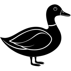 Animal Mallard silhouette vector illustrator