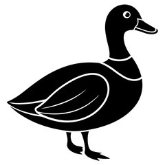 Animal Mallard silhouette vector illustrator