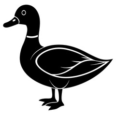 Animal Mallard silhouette vector illustrator