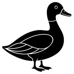 Animal Mallard silhouette vector illustrator