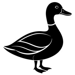 Animal Mallard silhouette vector illustrator