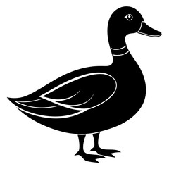 Animal Mallard silhouette vector illustrator