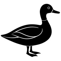 Animal Mallard silhouette vector illustrator