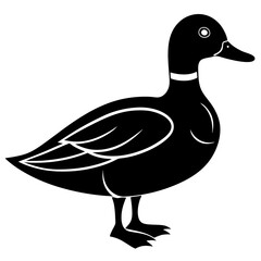 Animal Mallard silhouette vector illustrator