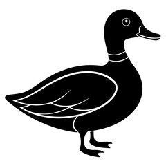 Animal Mallard silhouette vector illustrator