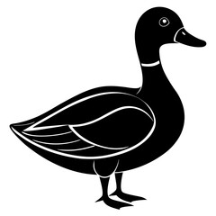 Animal Mallard silhouette vector illustrator