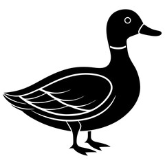 Animal Mallard silhouette vector illustrator