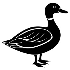 Animal Mallard silhouette vector illustrator