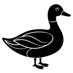 Animal Mallard silhouette vector illustrator