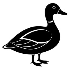 Animal Mallard silhouette vector illustrator