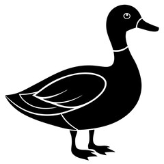 Animal Mallard silhouette vector illustrator