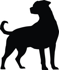 Rottweiler Dog Standing Looking on Left Silhouette Illustration Vector