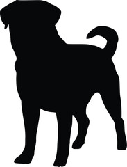 Rottweiler Dog Alert Standing Silhouette Illustration Vector