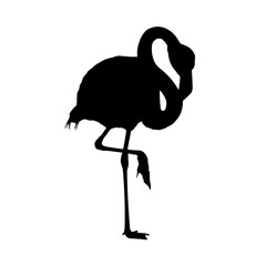 flamingo silhouette – vector illustration