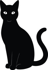 black cat on white background