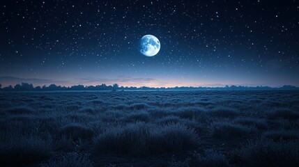 Night meadow under a full moon