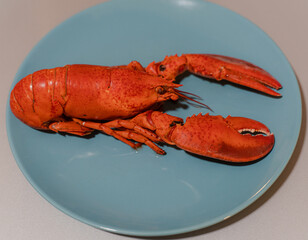 Seafood. Serving lobster. Lobster lies on a plate.