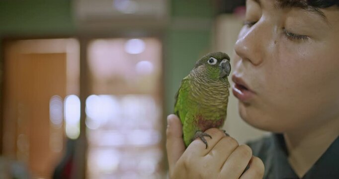 A young person holds their pet green-cheeked conure parrot and cuddles it. The parrot sits on their hand.