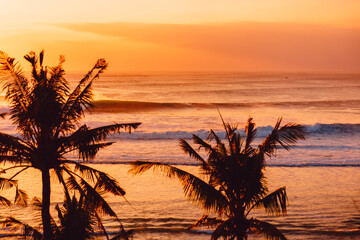 Sunset or sunrise with surfing waves and palms trees