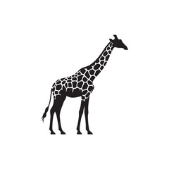 Obraz premium giraffe vector illustration