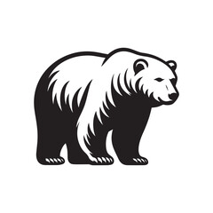 bear vector illustration