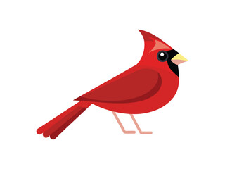 red cardinal bird in side profile vector design