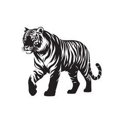 Obraz premium tiger isolated on white background
