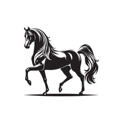 Obraz premium horse vector illustration