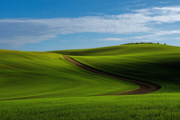 Fototapeta premium Rolling green hills under a blue sky with scattered clouds