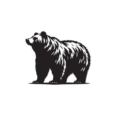 Obraz premium brown bear vector illustration