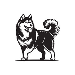 Fototapeta premium vector illustration of a dog 