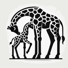 Obraz premium Giraffe Mother Nuzzling Her Calf