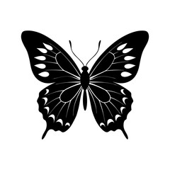 Butterfly Silhouette vector illustration