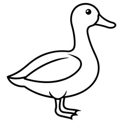 Animal Mallard line art vector