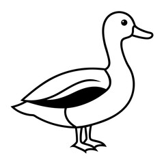 Animal Mallard line art vector