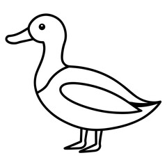 Animal Mallard line art vector