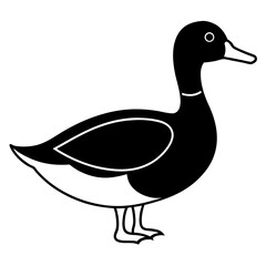 Animal Mallard line art vector
