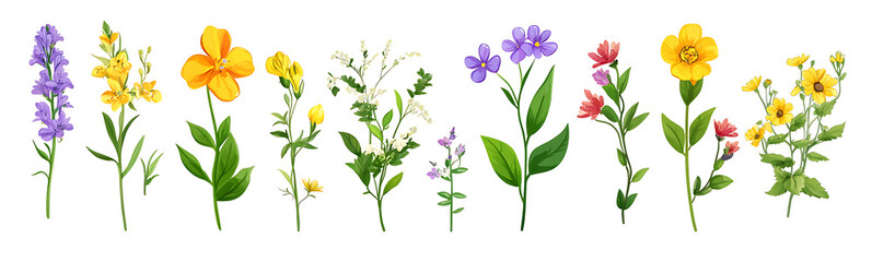 Naklejka premium Floral spring elements, a floral clipart set with various flowers and leaves in a flat vector style on a white background.