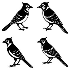 Blue Jay Silhouette vector illustration