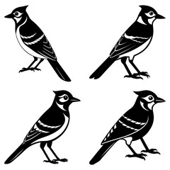 Blue Jay Silhouette vector illustration