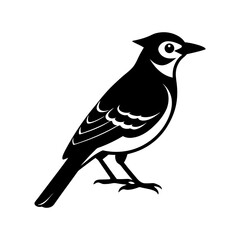 Blue Jay Silhouette vector illustration