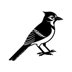 Blue Jay Silhouette vector illustration