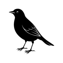 Blackbird Silhouette vector illustration