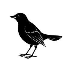 Blackbird Silhouette vector illustration