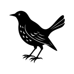 Blackbird Silhouette vector illustration