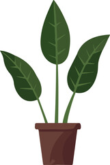 Tress in a pot, home plant vector illustration flowers and plants colorful pattern art illustration