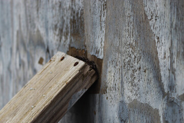 reinforcement or bracing for a storm abstract concept. business, leadership, or extreme weather design element. macro close-up of a piece of wood providing support against a wall. 