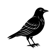 Bird Silhouette vector illustration