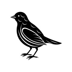 Bird Silhouette vector illustration